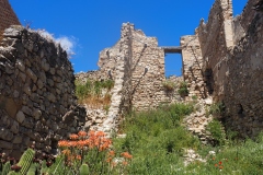 P1010094